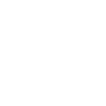 2D (White Logo)